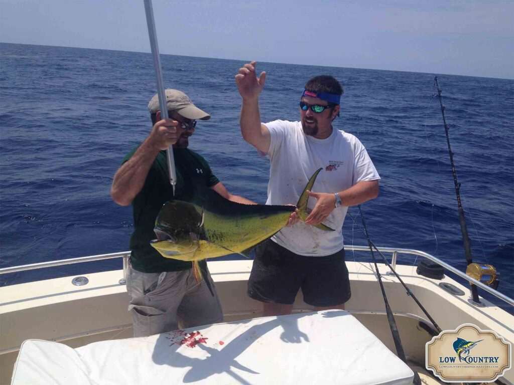 gulf stream 1 A Comprehensive Guide to Inshore and Deep Sea Fishing Charters In Myrtle Beach